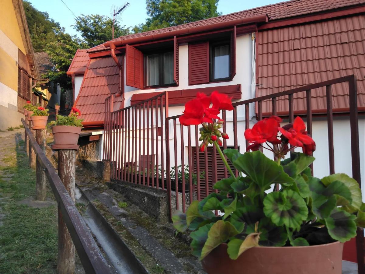 Szonyi Uti Vendeghaz Hotel Zebegény Exterior foto