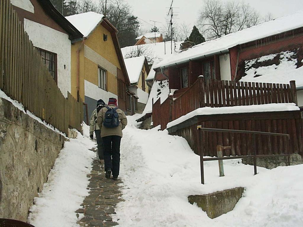 Szonyi Uti Vendeghaz Hotel Zebegény Exterior foto