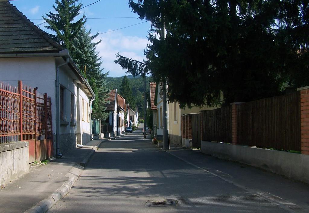 Szonyi Uti Vendeghaz Hotel Zebegény Exterior foto